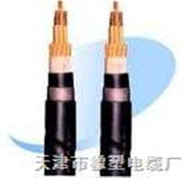 RVZ與RVZ電力電纜 規(guī)格、特點與應(yīng)用全解析