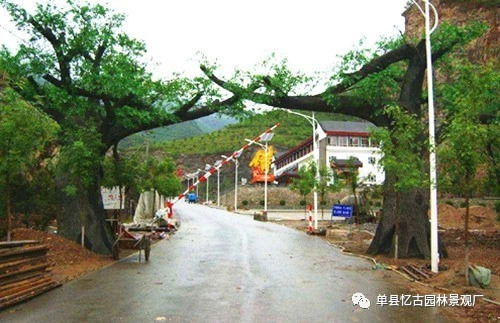 阜陽生態(tài)園大門制作價格解析 假山藝術(shù)與成本考量