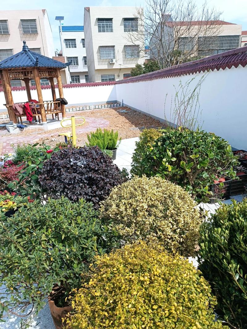 單位綠化施工現(xiàn)場紀(jì)實 園林景觀中的假山營造藝術(shù)